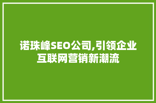 诺珠峰SEO公司,引领企业互联网营销新潮流