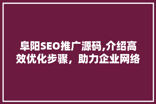 阜阳SEO推广源码,介绍高效优化步骤，助力企业网络营销