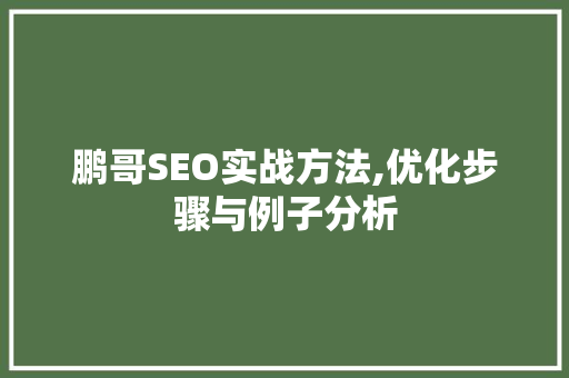 鹏哥SEO实战方法,优化步骤与例子分析