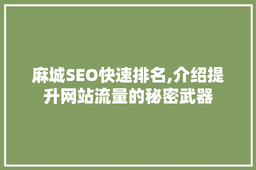 麻城SEO快速排名,介绍提升网站流量的秘密武器
