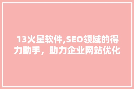 13火星软件,SEO领域的得力助手，助力企业网站优化升级