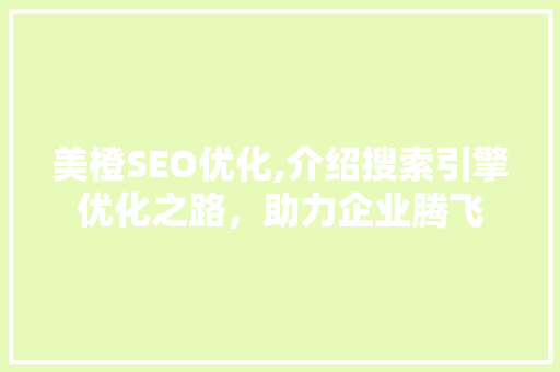 美橙SEO优化,介绍搜索引擎优化之路，助力企业腾飞