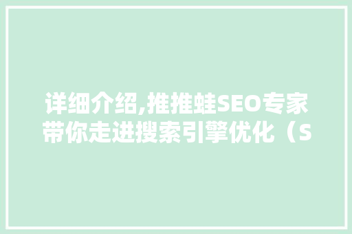 详细介绍,推推蛙SEO专家带你走进搜索引擎优化（SEO）的神秘世界