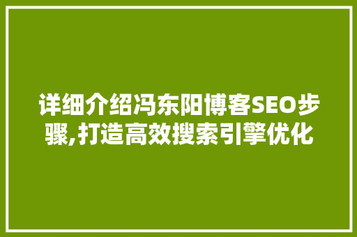 详细介绍冯东阳博客SEO步骤,打造高效搜索引擎优化之路