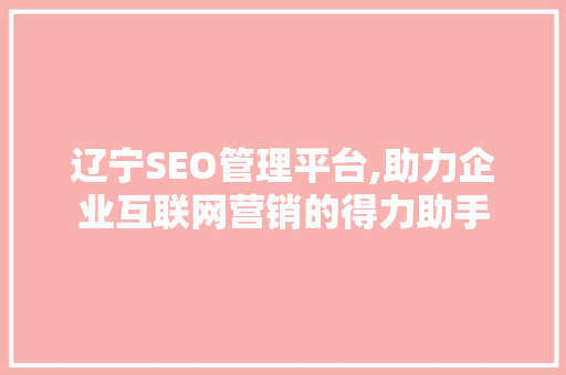 辽宁SEO管理平台,助力企业互联网营销的得力助手