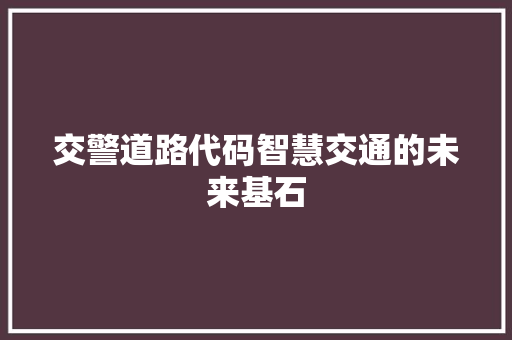 交警道路代码智慧交通的未来基石