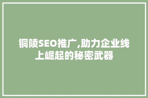 铜陵SEO推广,助力企业线上崛起的秘密武器