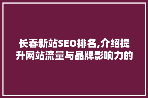 长春新站SEO排名,介绍提升网站流量与品牌影响力的方法