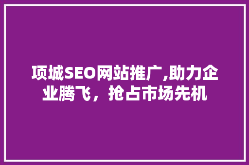 项城SEO网站推广,助力企业腾飞，抢占市场先机