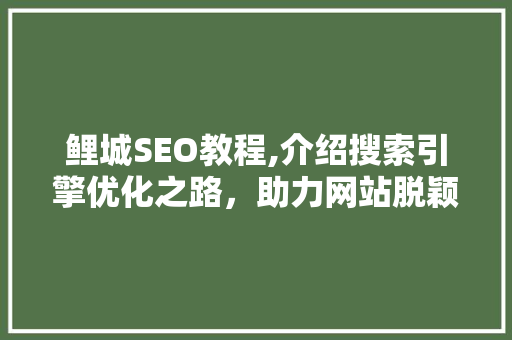 鲤城SEO教程,介绍搜索引擎优化之路，助力网站脱颖而出