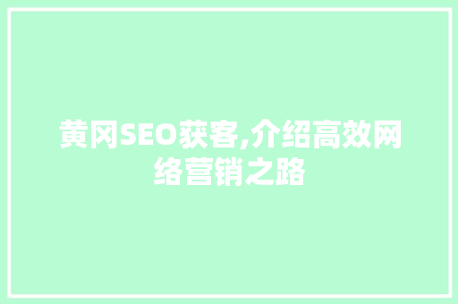 黄冈SEO获客,介绍高效网络营销之路