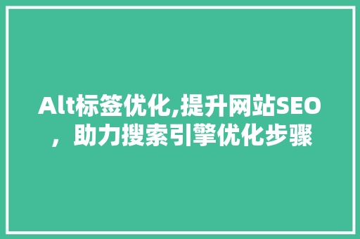 Alt标签优化,提升网站SEO，助力搜索引擎优化步骤