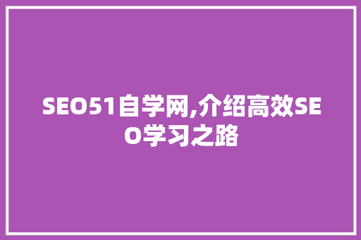 SEO51自学网,介绍高效SEO学习之路