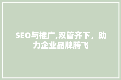 SEO与推广,双管齐下，助力企业品牌腾飞