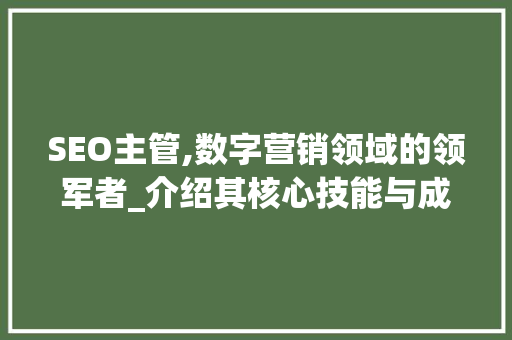 SEO主管,数字营销领域的领军者_介绍其核心技能与成功方法