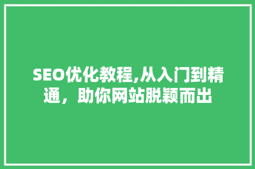 SEO优化教程,从入门到精通，助你网站脱颖而出