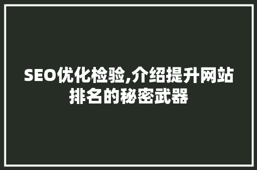 SEO优化检验,介绍提升网站排名的秘密武器