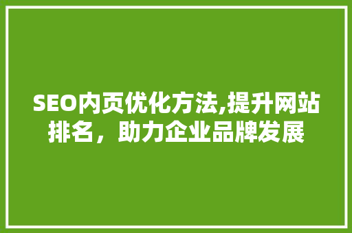 SEO内页优化方法,提升网站排名，助力企业品牌发展