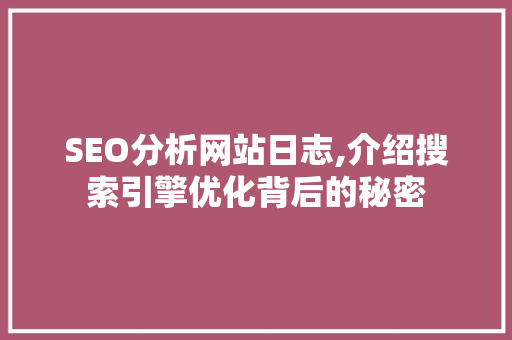 SEO分析网站日志,介绍搜索引擎优化背后的秘密