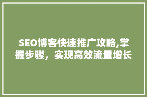 SEO博客快速推广攻略,掌握步骤，实现高效流量增长