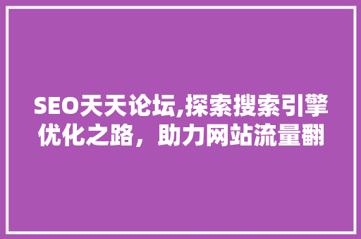 SEO天天论坛,探索搜索引擎优化之路，助力网站流量翻倍增长