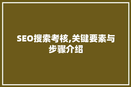 SEO搜索考核,关键要素与步骤介绍