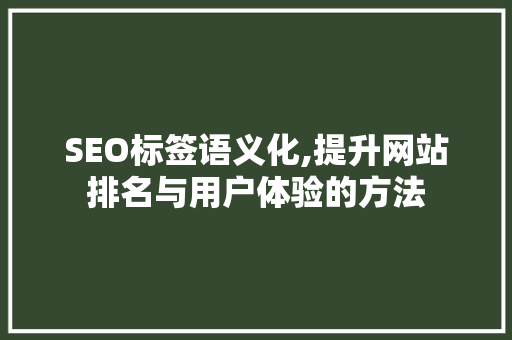 SEO标签语义化,提升网站排名与用户体验的方法