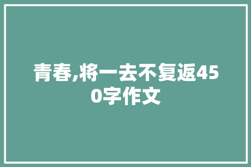 SEO网站优化详解,介绍搜索引擎优化之路