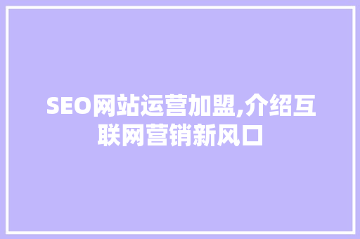 SEO网站运营加盟,介绍互联网营销新风口