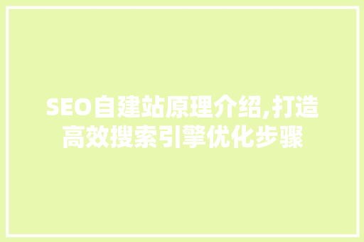SEO自建站原理介绍,打造高效搜索引擎优化步骤