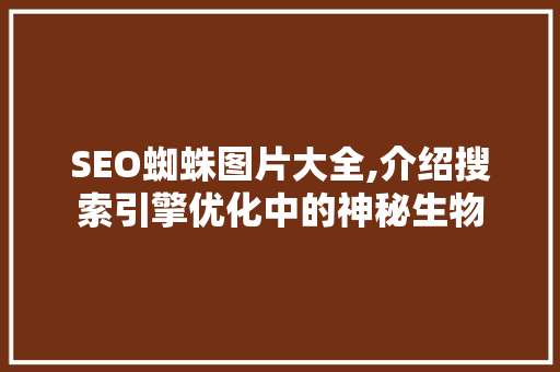 SEO蜘蛛图片大全,介绍搜索引擎优化中的神秘生物