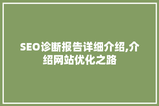 SEO诊断报告详细介绍,介绍网站优化之路