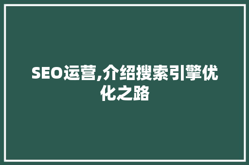 SEO运营,介绍搜索引擎优化之路