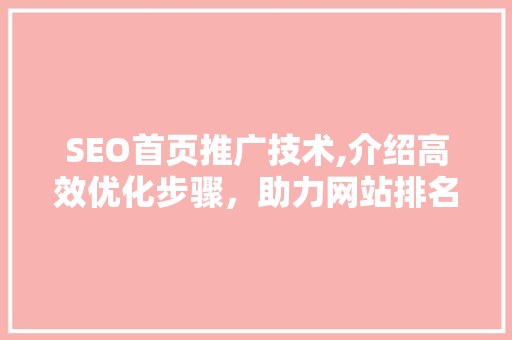 SEO首页推广技术,介绍高效优化步骤，助力网站排名提升