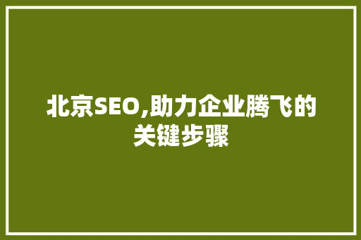 北京SEO,助力企业腾飞的关键步骤
