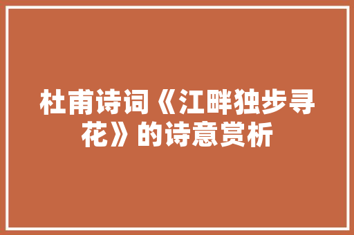 十年乐云SEO,百度SEO效果的见证与启示