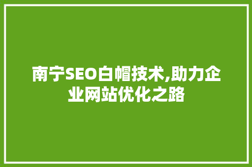 南宁SEO白帽技术,助力企业网站优化之路