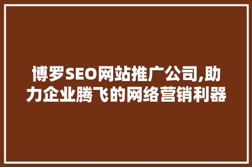 博罗SEO网站推广公司,助力企业腾飞的网络营销利器