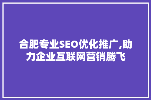 合肥专业SEO优化推广,助力企业互联网营销腾飞