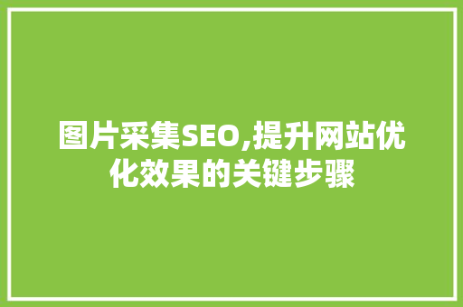 图片采集SEO,提升网站优化效果的关键步骤