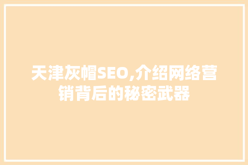 天津灰帽SEO,介绍网络营销背后的秘密武器