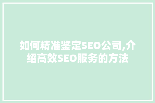如何精准鉴定SEO公司,介绍高效SEO服务的方法