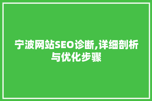 宁波网站SEO诊断,详细剖析与优化步骤