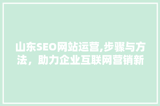 山东SEO网站运营,步骤与方法，助力企业互联网营销新篇章