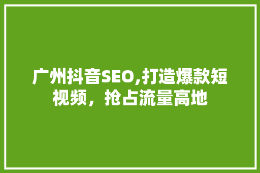 广州抖音SEO,打造爆款短视频，抢占流量高地