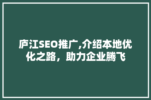 庐江SEO推广,介绍本地优化之路，助力企业腾飞
