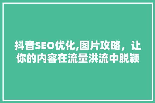 抖音SEO优化,图片攻略，让你的内容在流量洪流中脱颖而出
