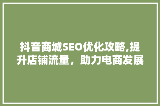 抖音商城SEO优化攻略,提升店铺流量，助力电商发展