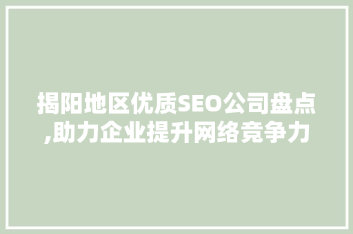 揭阳地区优质SEO公司盘点,助力企业提升网络竞争力