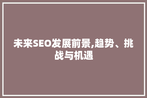 未来SEO发展前景,趋势、挑战与机遇
